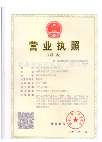 Duplicate of the Company's Business License