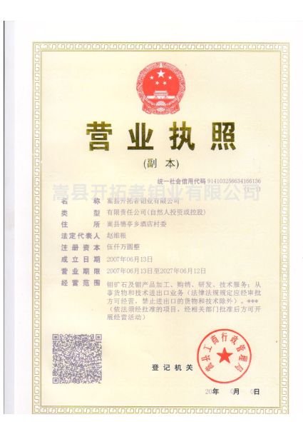 Duplicate of the Company's Business License